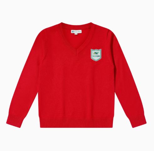 স্কুলের বাচ্ছাদের শীতের সোয়েটার লাল কালার